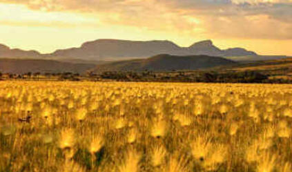 Chapada dos Veadeiros