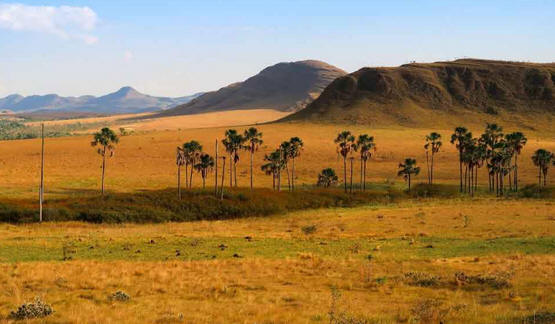 Chapada dos Veadeiros