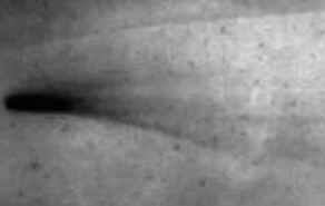 Cometa Halley