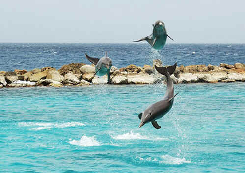 Curaçao