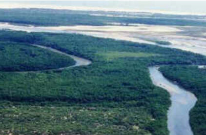 Delta do Rio Parnaíba