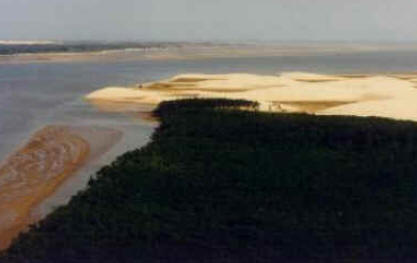 Delta do Rio Parnaíba