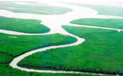 Delta do Rio Parnaíba