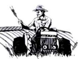 Dia do Campo