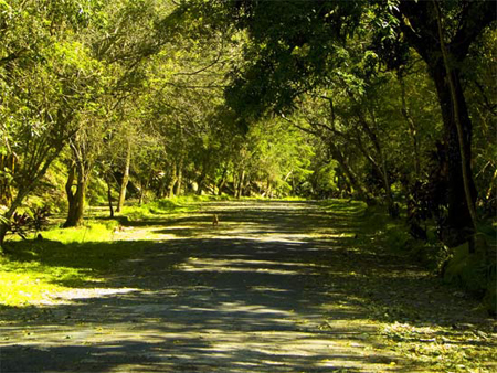 El Salvador