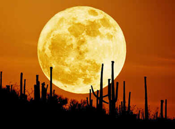 Fases da Lua