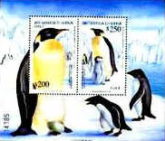 Fauna e Flora da Antártida Fauna e Flora da Antártida