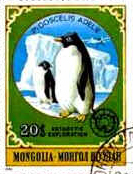 Fauna e Flora da Antártida Fauna e Flora da Antártida