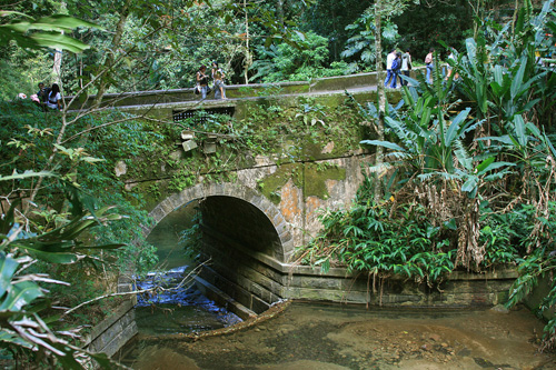 Floresta da Tijuca