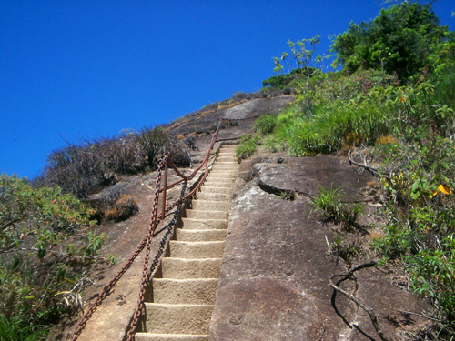Floresta da Tijuca