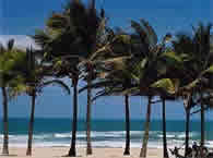 Fortaleza Fortaleza
