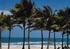 Fortaleza Fortaleza