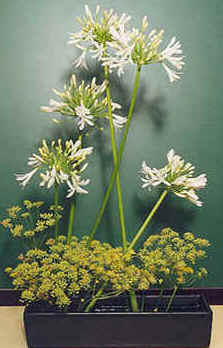 Ikebana