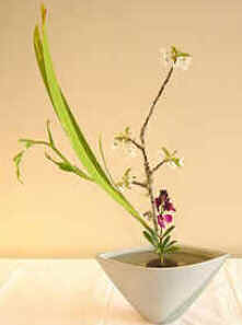Ikebana