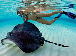 Ilhas Cayman Ilhas Cayman