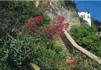 Ilha de Capri