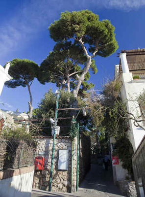 Ilha de Capri