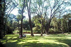Jardim Botânico Jardim Botânico