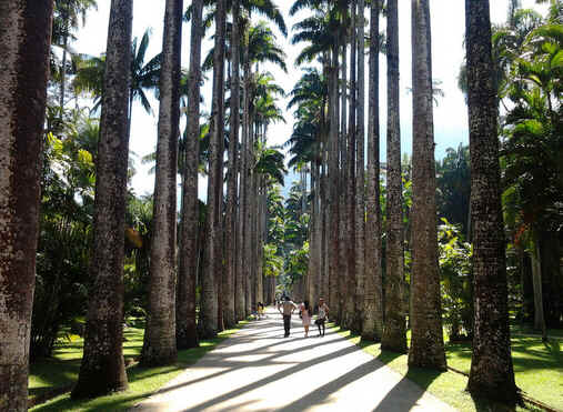 Jardim Botânico do Rio de Janeiro