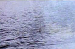 Lago Ness Lago Ness