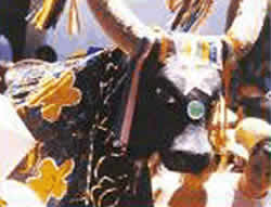 Maranhão Maranhão