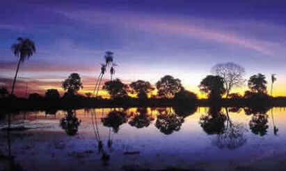 Mato Grosso