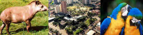 Mato Grosso do Sul