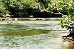 Macapá Macapá