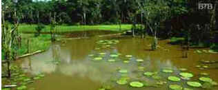 Macapá Macapá