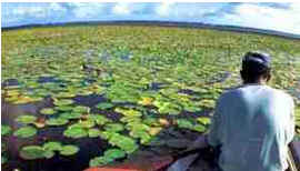 Macapá Macapá
