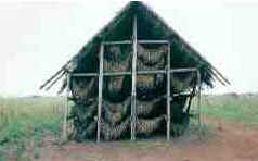 Nampula
