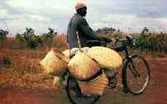 Niassa Niassa