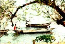 Niassa Niassa