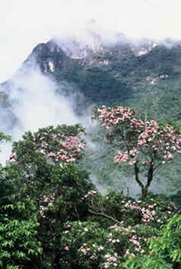 Paraná