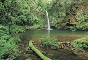 Paraná