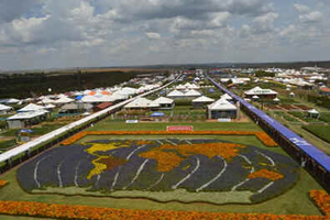 Paraná