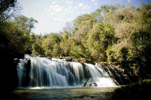 Paraná