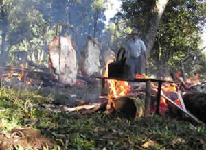 Paraná