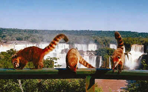 Paraná
