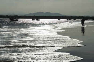Paraná