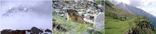 Parque Nacional Gran Paradiso