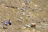 Parque Nacional Gran Paradiso