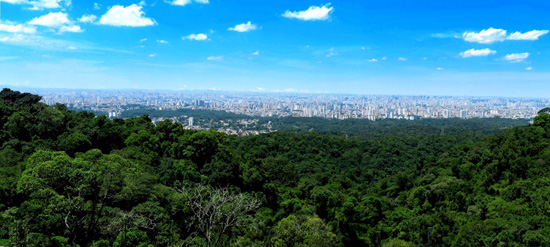 Parque Estadual da Serra da Cantareira Parque Estadual da Serra da Cantareira
