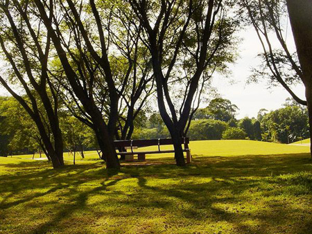 Parque da Juventude