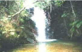 Paracatu