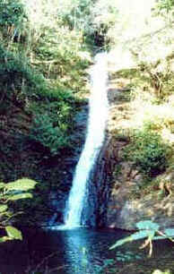 Paracatu