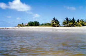 Pernambuco