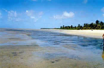 Pernambuco