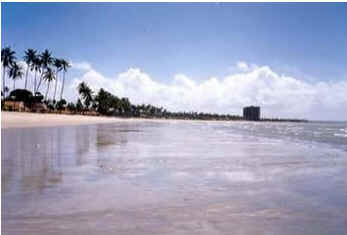 Pernambuco