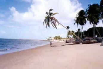 Pernambuco